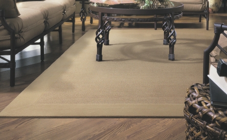 Sisal Rugs